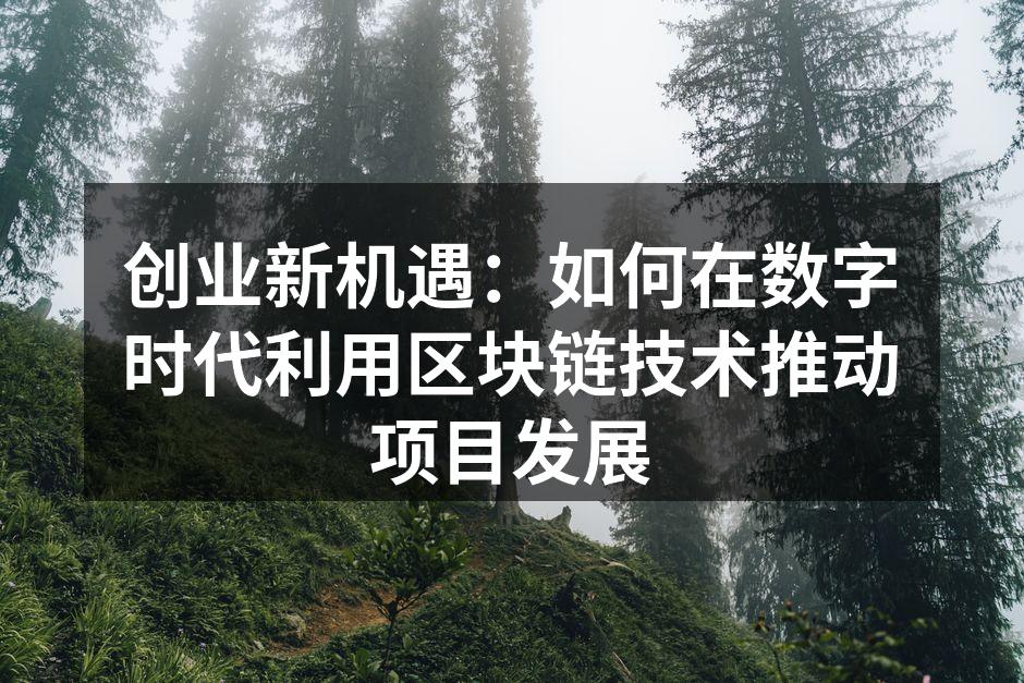 创业新机遇：如何在数字时代利用区块链技术推动项目发展