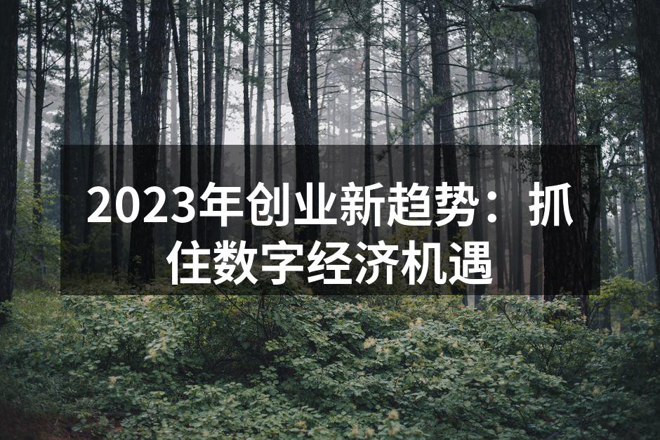 2023年创业新趋势：抓住数字经济机遇