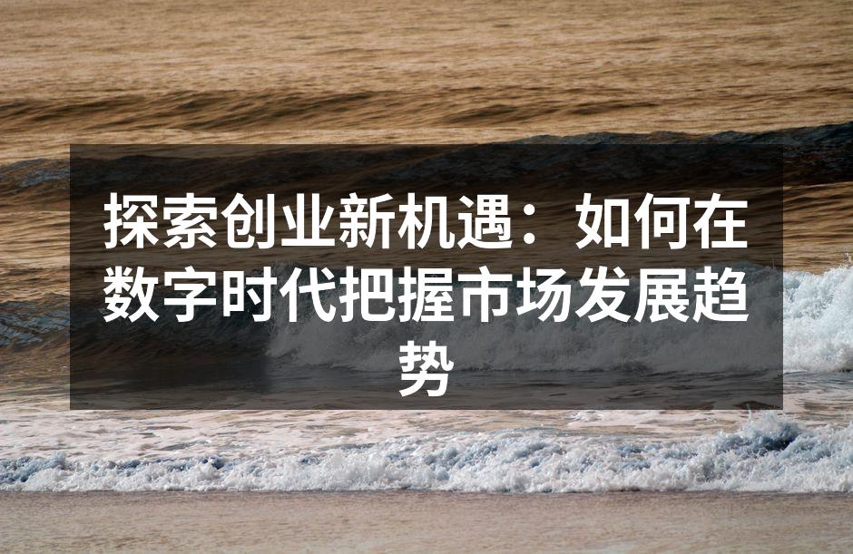 探索创业新机遇：如何在数字时代把握市场发展趋势